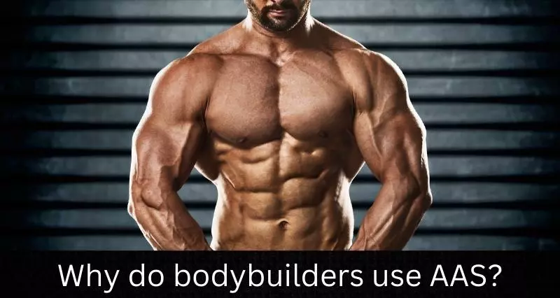 Why_do_bodybuilders_use_AAS