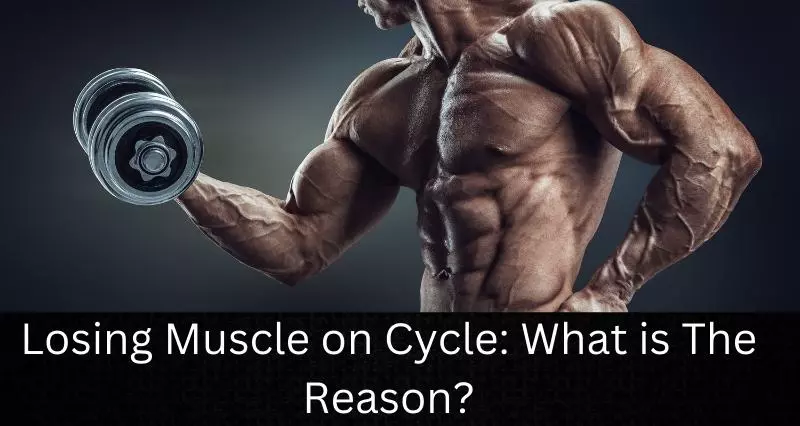 You are currently viewing Losing Muscle on Cycle: What is The Reason?