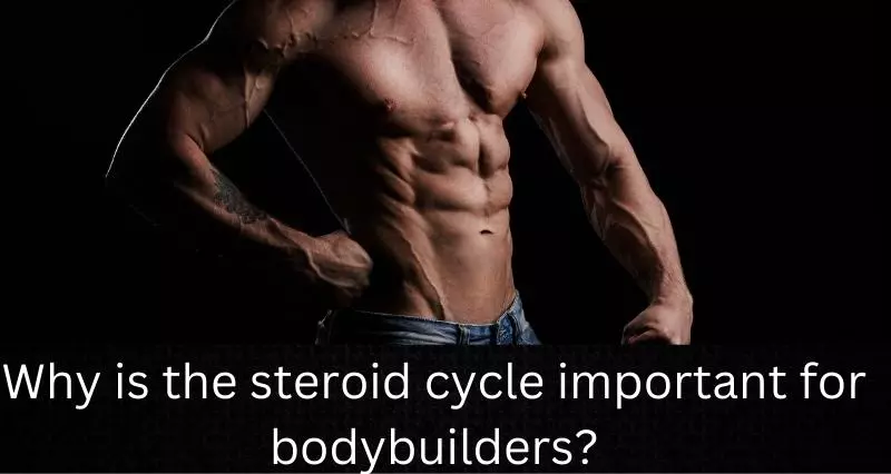 oid_cycle_important_for_bodybuilders