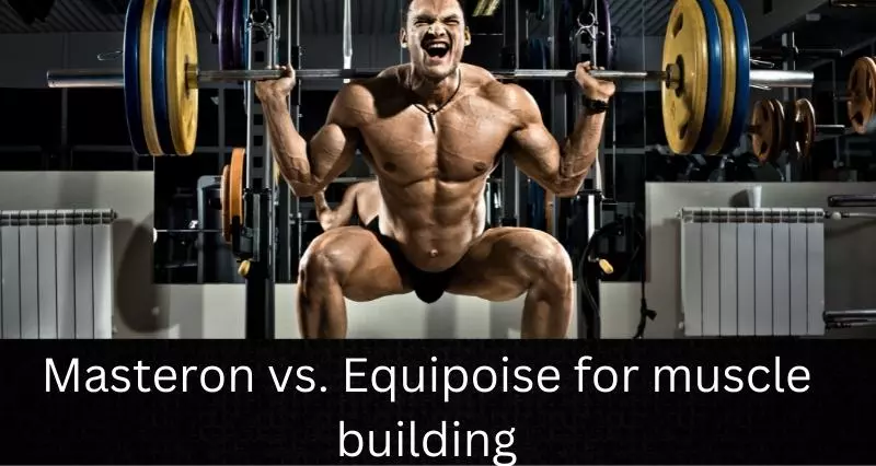 on_vs._Equipoise_for_muscle_building